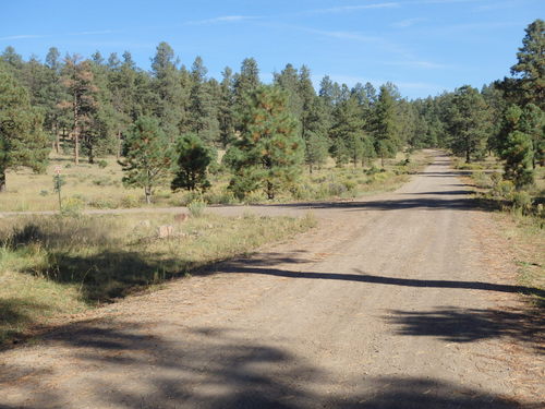 GDMBR: This is the turn-off for the Mangas Lookout.